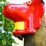 SONY DSC
