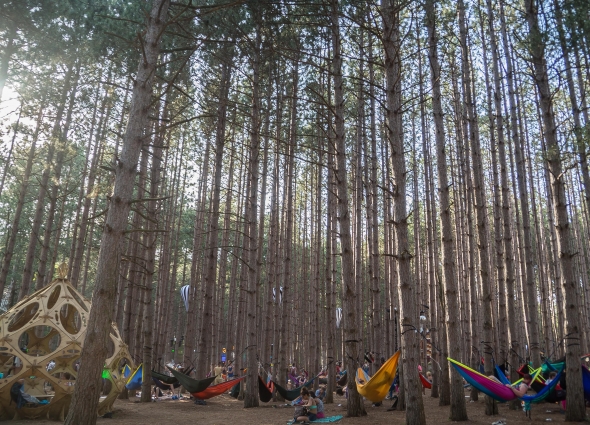 Electric Forest Festival 2014